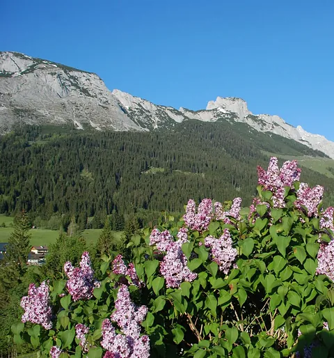 Wolfern Urlaub